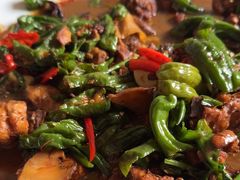 -食鸡公社辣子鸡·潍坊菜·烧烤