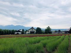 -富田农场