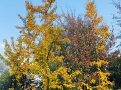 -杭州城北体育公园