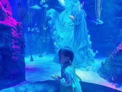 -沈阳海洋探索中心