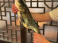 -永安水煮活鱼·仪征菜(仪征奥林匹克店)