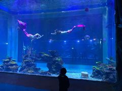 -鄂尔多斯野生动物园