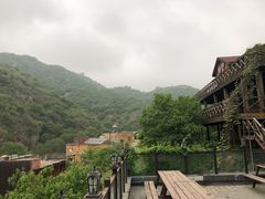 -Local泰莲庭(虹鳟鱼店)