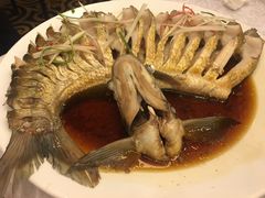 -楚灶王(徐东店)