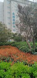-河南中医药大学第一附属医院-医疗整形