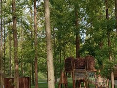 -黄海国家森林公园