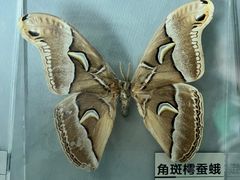 -杭州西湖博物馆总馆