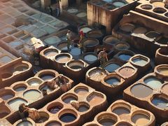 -穆莱拉赫制革厂