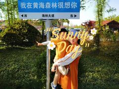 -黄海国家森林公园