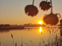 -艾溪湖湿地公园