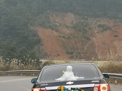 -武陵山森林公园