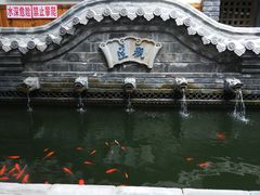 -老张烤羊(王哥庄店)