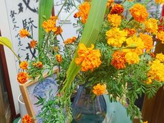 -点绛唇(鼓楼店)