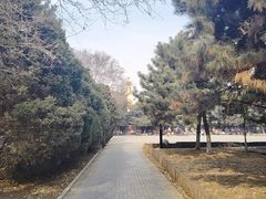 -护国法轮寺