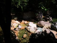 -黄山温泉国际旅游度假区