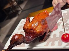 -大鸽饭(动物园店)