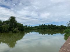 -白鹭湾湿地公园