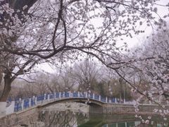 -满都海公园