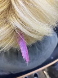 -Rise Hair上升造型