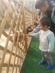 -萌宠亲子动物乐园(槐房万达店)