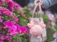 -玩具反斗城(海港城店)