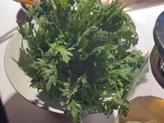 -九鼎轩脆毛肚火锅(南京东路店)