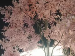 -首开·龙湖成都西宸天街