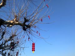 -溪口-滕头旅游景区