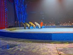 -珠海横琴长隆《卡卡虎奇遇记》