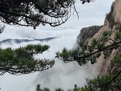 -黄山风景区