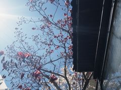 -北京水岸山吧度假村(雁栖镇店)