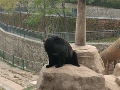 -石家庄市动物园