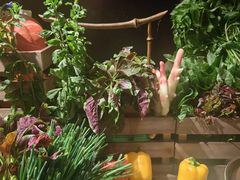 -院里寻菜·精致庭院菜(观沙岭店)