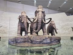 -大庆市博物馆