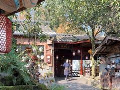 -青城甲(青城山店)