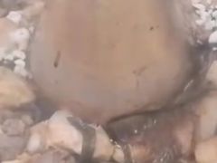 -吴天家私坊铜火锅(远达·帝景华廷店)