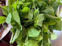 -滇菌王·野生菌山宴(宝海店)