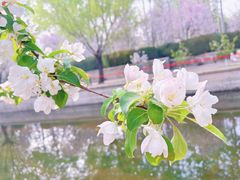 -元大都城垣遗址公园