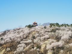 -白水寺森林公园