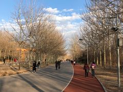 -首都医科大学附属北京同仁医院(南区)