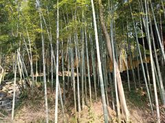 -北高峰