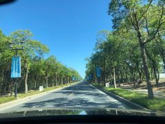 -上海崇明金茂凯悦酒店