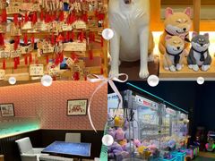 -大江户·温泉洗浴(浑南店)