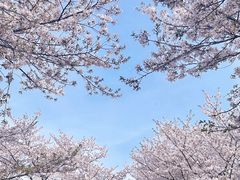 -上海辰山植物园