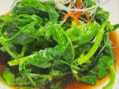 -苹果树下艺术餐厅(宋庄店)