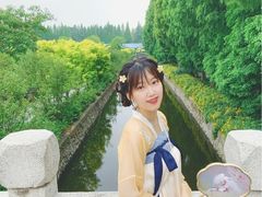 -水杉园