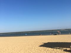 -碧海金沙