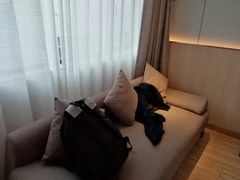 -深圳龙华大浪商业中心亚朵X酒店