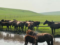 -莫日格勒旅游景区