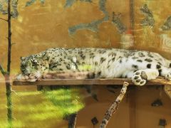 -青藏高原野生动物园